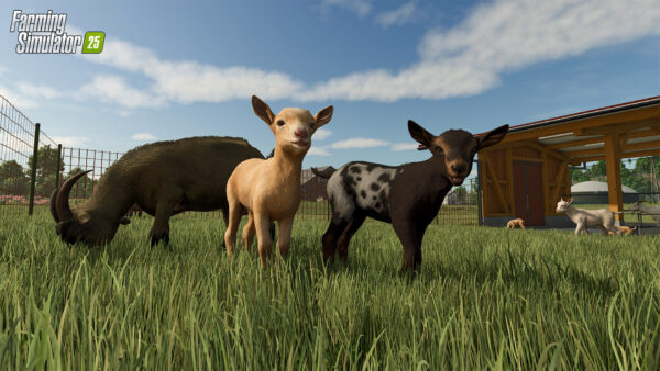 Farming Simulator 25 PC - Envio Digital - Imagem 19